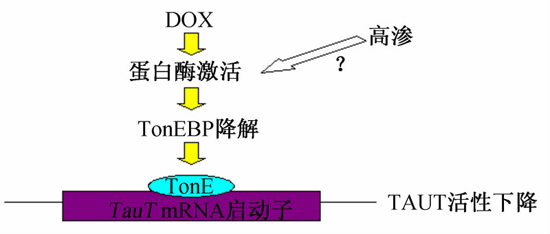 20131005-5.jpg